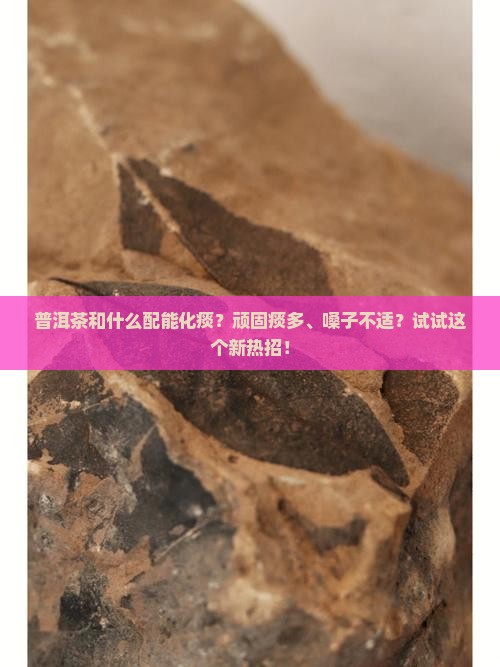 普洱茶和什么配能化痰？顽固痰多、嗓子不适？试试这个新热招！