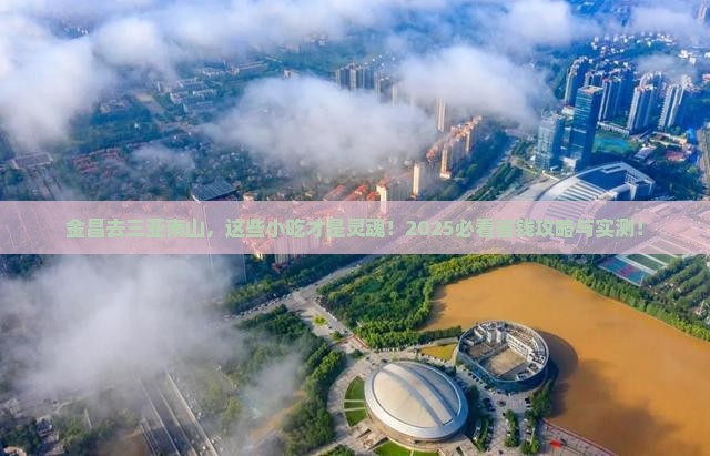 金昌去三亚南山，这些小吃才是灵魂！2025必看省钱攻略与实测！