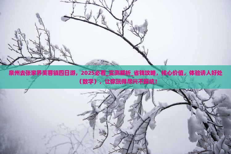泉州去张家界芙蓉镇四日游，2025必看_实测解析_省钱攻略，核心价值，体验诱人好处（数字），让你玩得尽兴不踩坑！
