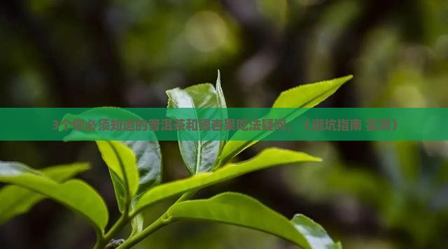 3个你必须知道的普洱茶和银杏果吃法疑问，（避坑指南+实测）