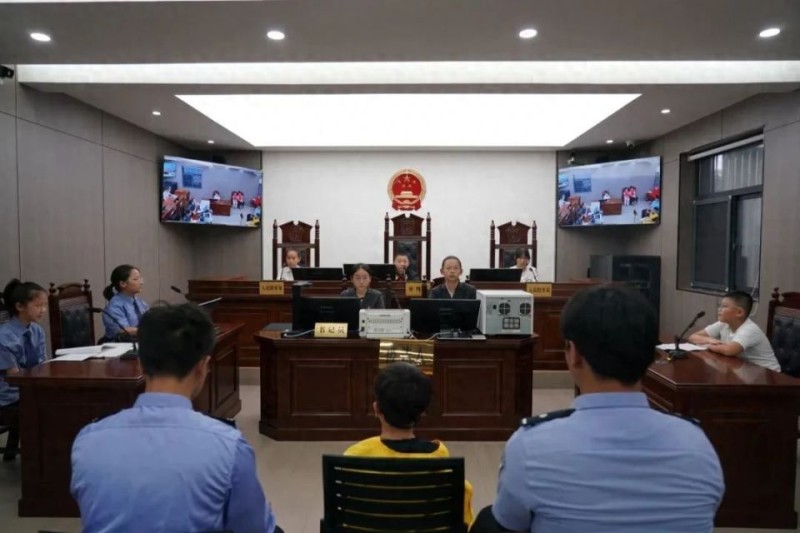 变身“小法官” 一场模拟法庭让孩子们沉浸式学习爱鸟护鸟法律知识
