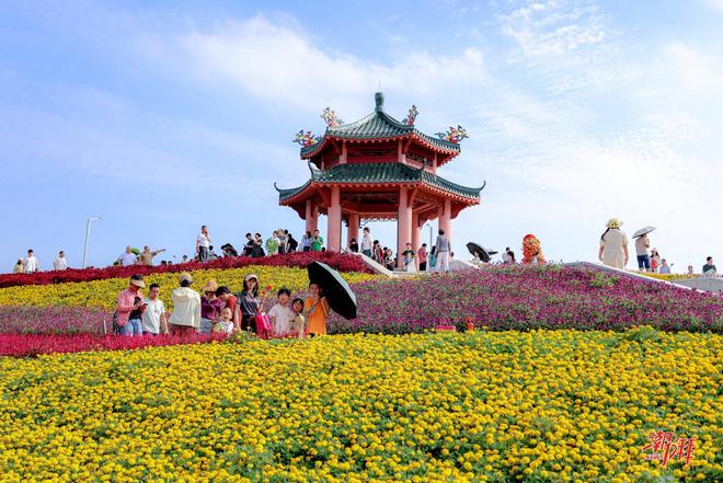 多方共建结硕果 合力同谱新篇章