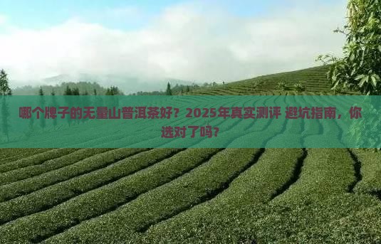 哪个牌子的无量山普洱茶好？2025年真实测评+避坑指南，你选对了吗？
