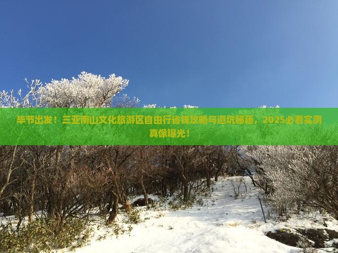 毕节出发！三亚南山文化旅游区自由行省钱攻略与避坑秘籍，2025必看实测真像曝光！