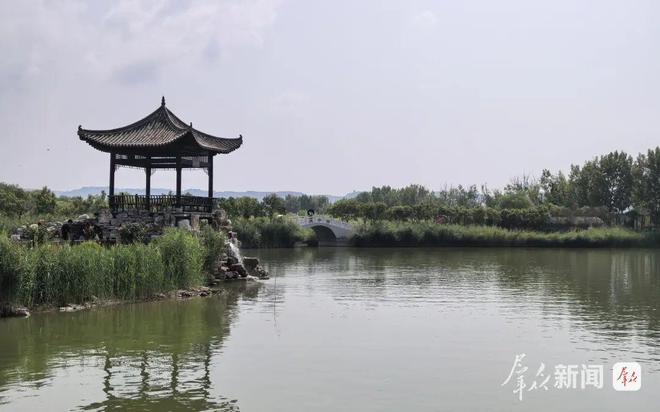 黄河洽川湿地：在万亩芦荡下看见绿水青山