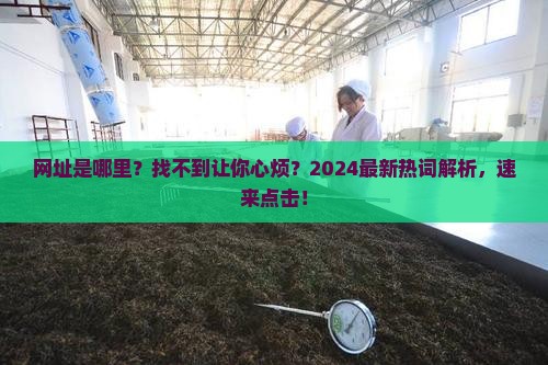 网址是哪里？找不到让你心烦？2024最新热词解析，速来点击！