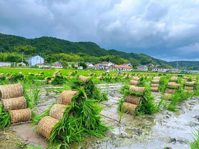 上半年经济数据亮点纷呈！余姚GDP同比增长6.1%
