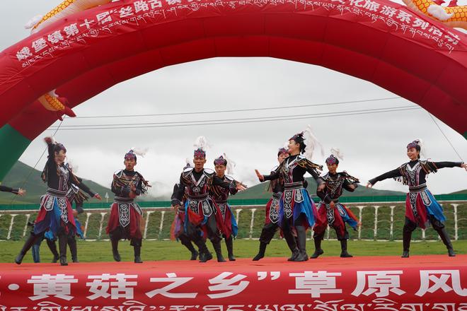 祁连：“丝路古镇・黄菇之乡”草原风情文化旅游节启幕