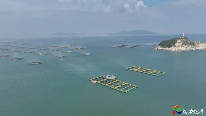 三产融合：预制菜“出海”临港兴文旅旺