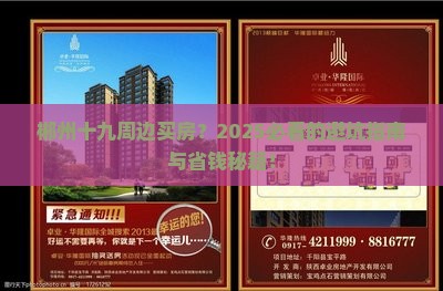 郴州十九周边买房？2025必看的避坑指南与省钱秘籍！
