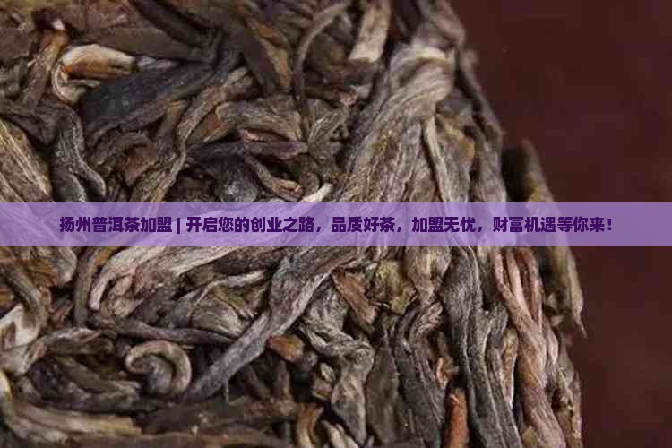 扬州普洱茶加盟