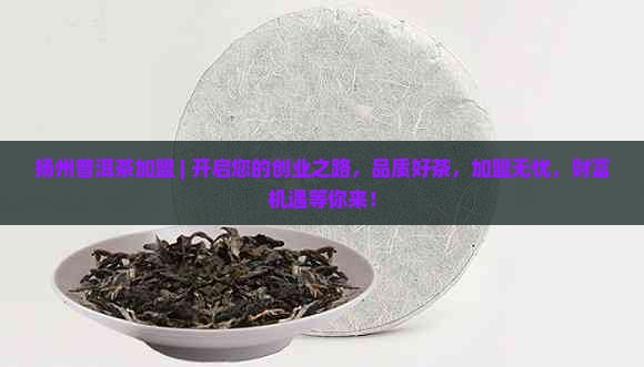 扬州普洱茶加盟