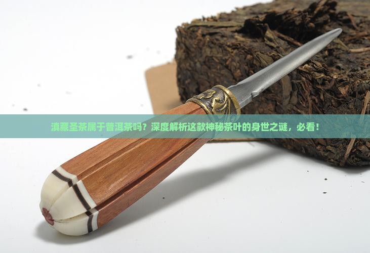 滇藏圣茶属于普洱茶吗