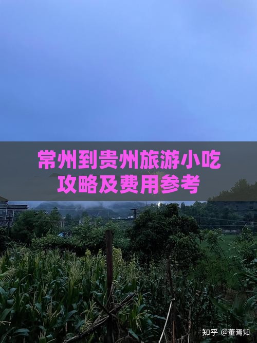 常州到贵州旅游小吃