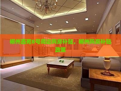 郴州西苑8号周边购房补贴