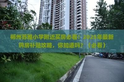 郴州苏雅小学附近买房必看！2025年最新购房补贴攻略，你知道吗？（必看）
