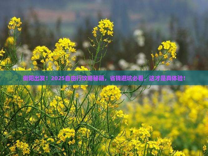 衡阳去西藏自由团