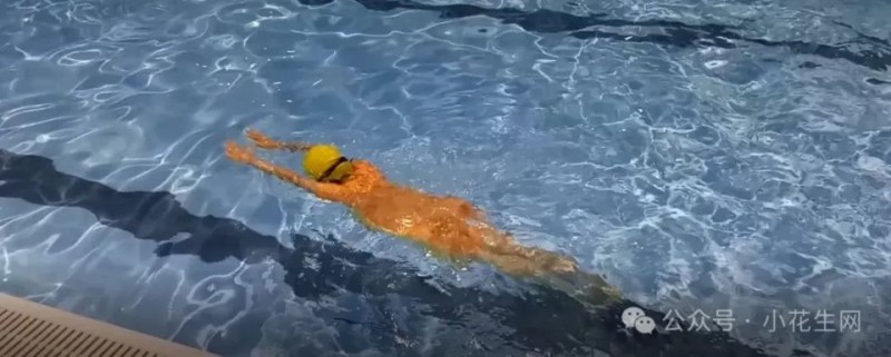 11岁娃面面开花: 好庆幸, 小学没选家门口的菜小