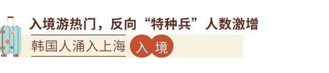 九大年度文旅出圈热点，开辟旅行新玩法