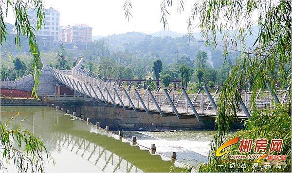 1571711592791038.jpg 吊桥.jpg