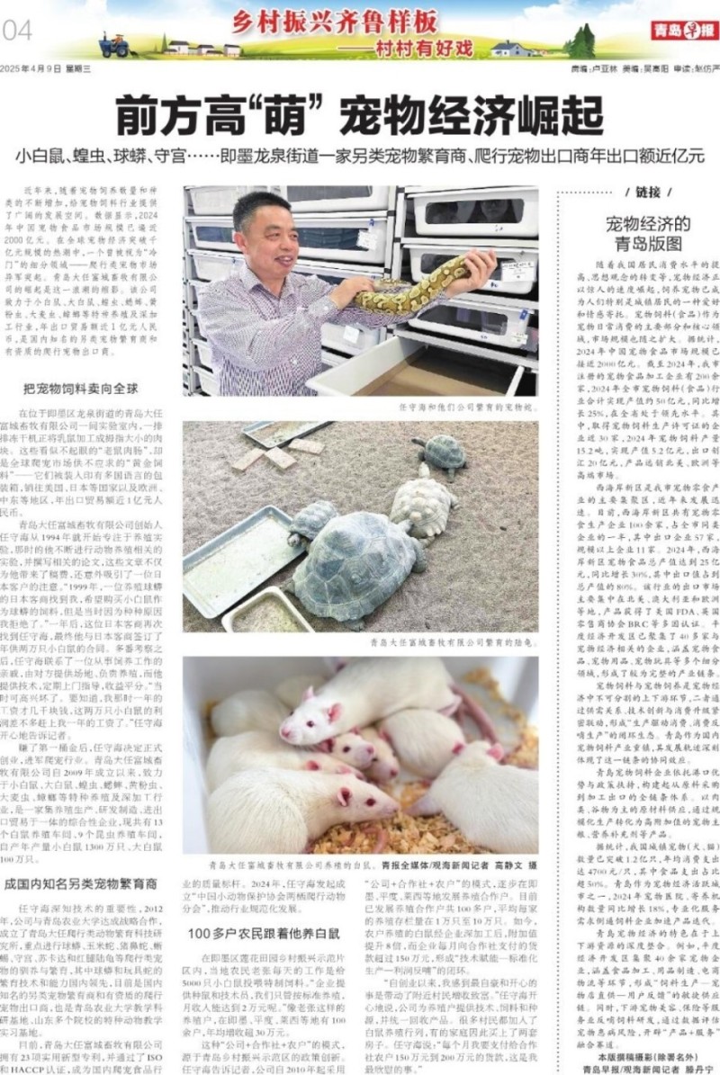 青岛另类宠物经济崛起：“萌”力全开，年出口额近亿元