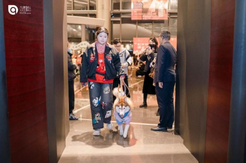 宠物友好剧院什么样？医疗辅助犬可可走进九棵树_腾讯新闻