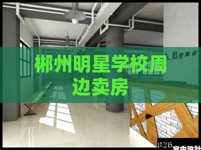 郴州明星学校周边卖房