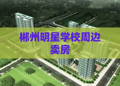 郴州明星学校周边卖房