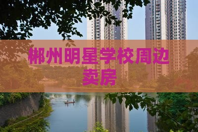 郴州明星学校周边卖房