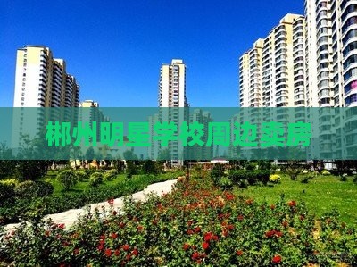 郴州明星学校周边卖房